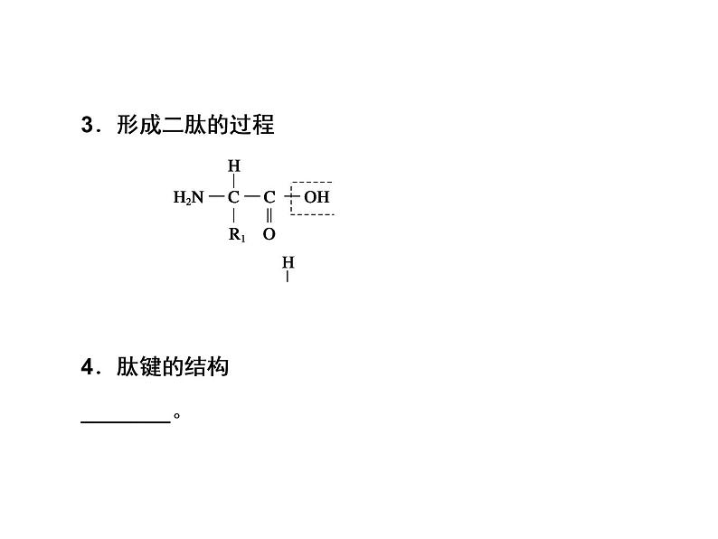 生物人教版大一轮复习课件：第3讲生命活动的主要承担者——蛋白质第6页