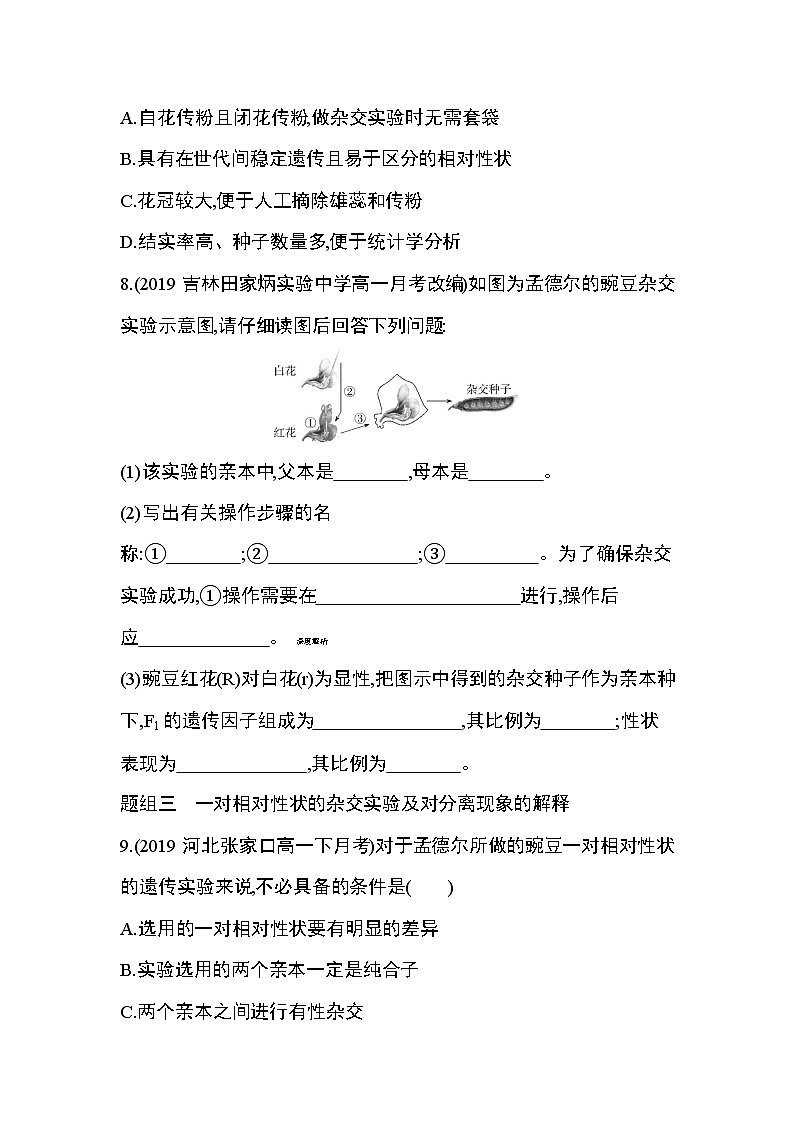 人教版2019选择性必修2第一章第1节第1课时　一对相对性状的杂交实验和对分离现象的解释练习题第3页