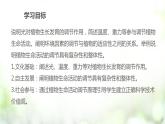 人教版2019选择性必修一5.4 环境因素参与调节植物的生命活动课件PPT
