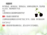 人教版2019选择性必修一5.4 环境因素参与调节植物的生命活动课件PPT