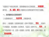 人教版2019选择性必修一5.4 环境因素参与调节植物的生命活动课件PPT
