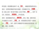 人教版2019选择性必修一5.4 环境因素参与调节植物的生命活动课件PPT