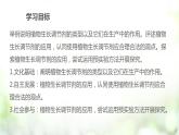 人教版2019选择性必修一5.3 植物生长调剂的应用课件PPT