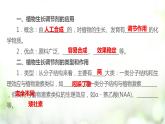 人教版2019选择性必修一5.3 植物生长调剂的应用课件PPT