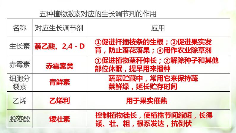 人教版2019选择性必修一5.3 植物生长调剂的应用课件PPT第5页