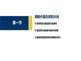 第06章 蛋白质分选与膜泡运输课件PPT