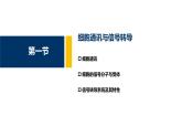 第11章 细胞信号转导课件PPT