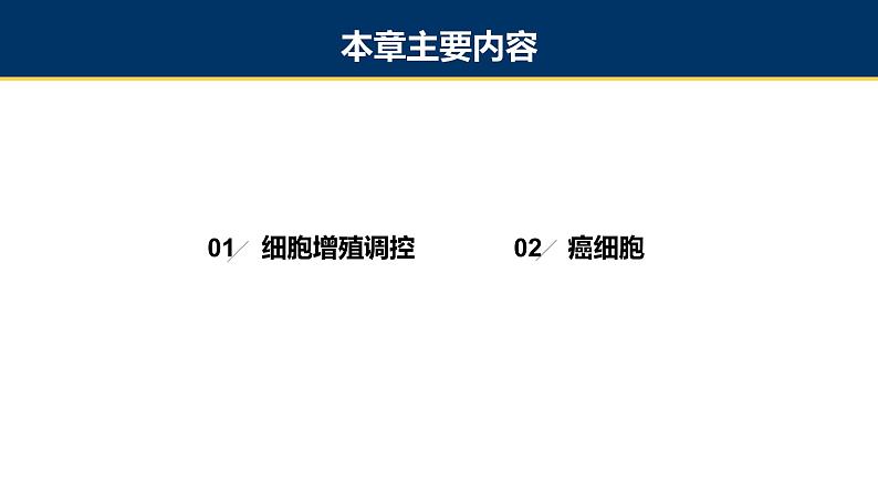 第13章 细胞增殖调控与癌细胞课件PPT02