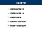 第02章 细胞生物学研究方法课件PPT