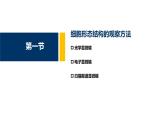 第02章 细胞生物学研究方法课件PPT