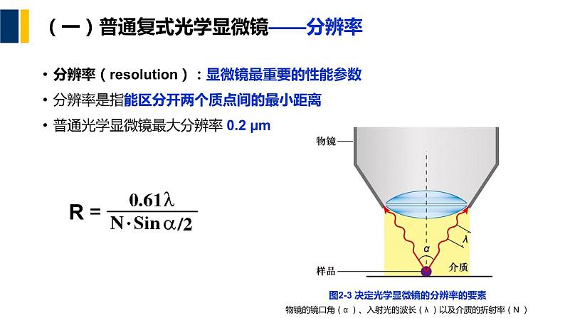 第02章 细胞生物学研究方法课件PPT08