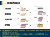 第03章 细胞质膜课件PPT