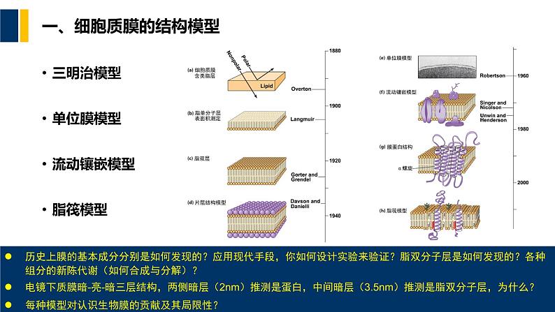 第03章 细胞质膜课件PPT05