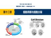 第12章 细胞周期与细胞分裂课件PPT