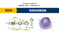 第04章 物质的跨膜运输课件PPT