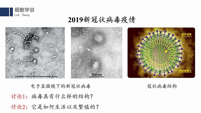 1.1.细胞是生命活动的基本单位课件PPT02