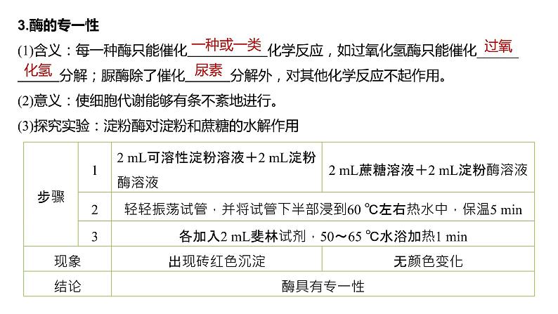 酶的特性PPT课件免费下载06