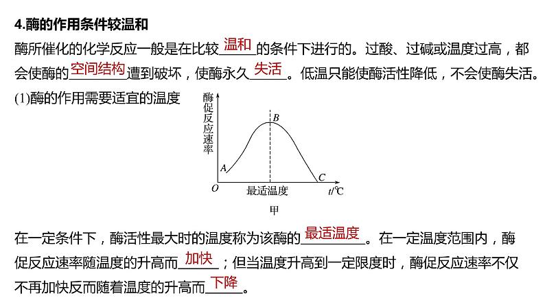 酶的特性PPT课件免费下载07