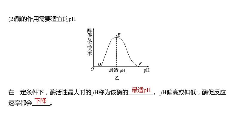 酶的特性PPT课件免费下载08