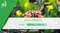 生物必修1《分子与细胞》第3章 细胞的基本结构第2节 细胞器之间的分工合作课前预习课件ppt