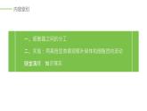 2020年高中生物新教材同步必修第一册 第3章 第2节 第1课时　细胞器之间的分工课件PPT