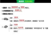 2020年高中生物新教材同步必修第一册 第3章 第2节 第1课时　细胞器之间的分工课件PPT