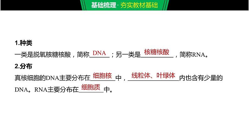 核酸是遗传信息的携带者PPT课件免费下载05