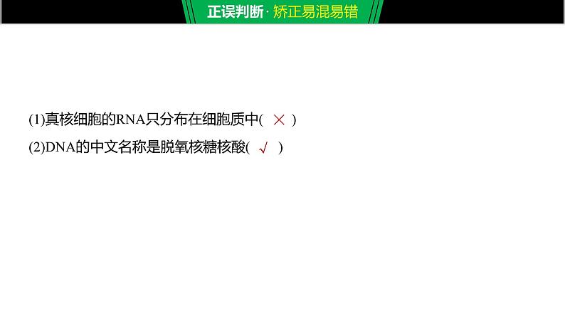 核酸是遗传信息的携带者PPT课件免费下载06