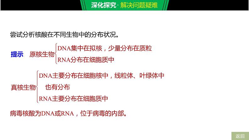 核酸是遗传信息的携带者PPT课件免费下载07