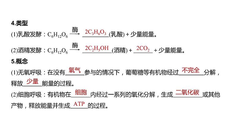 细胞的衰老和死亡PPT课件免费下载06