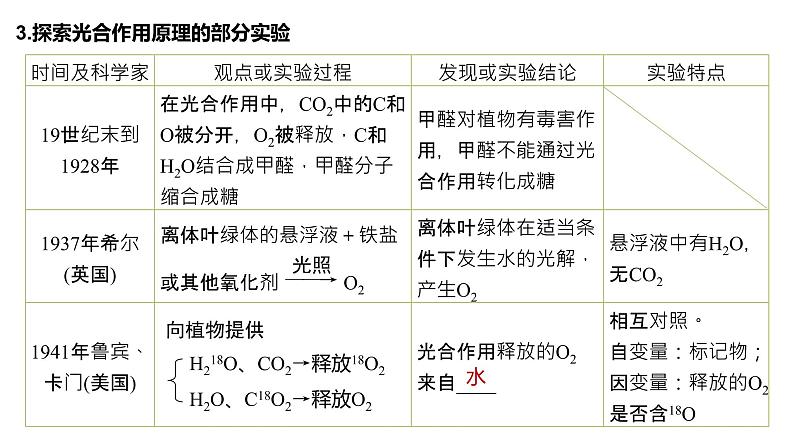 蛋白质是生命活动的主要承担者PPT课件免费下载06