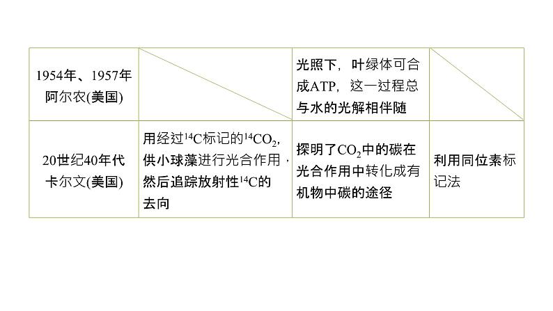 蛋白质是生命活动的主要承担者PPT课件免费下载07