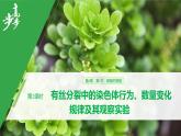 细胞是生命活动的基本单位PPT课件免费下载