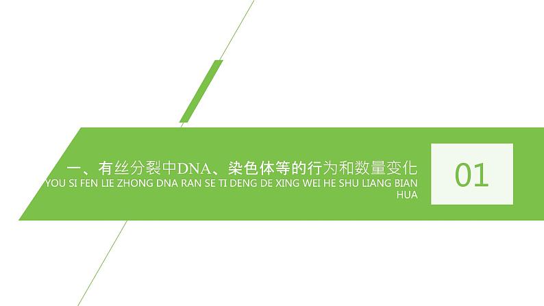 细胞是生命活动的基本单位PPT课件免费下载04