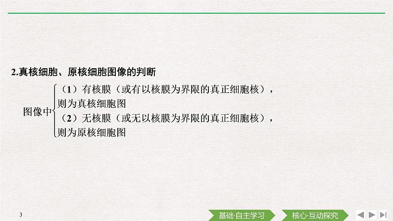 素养进阶(一)　细胞的结构、类别及功能课件PPT03