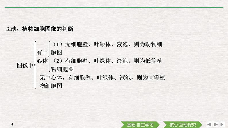 素养进阶(一)　细胞的结构、类别及功能课件PPT04