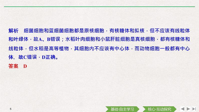 素养进阶(一)　细胞的结构、类别及功能课件PPT06