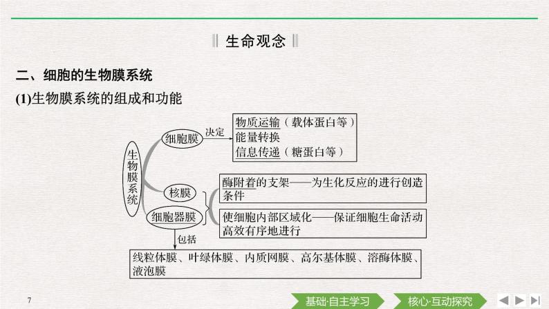 素养进阶(一)　细胞的结构、类别及功能课件PPT07