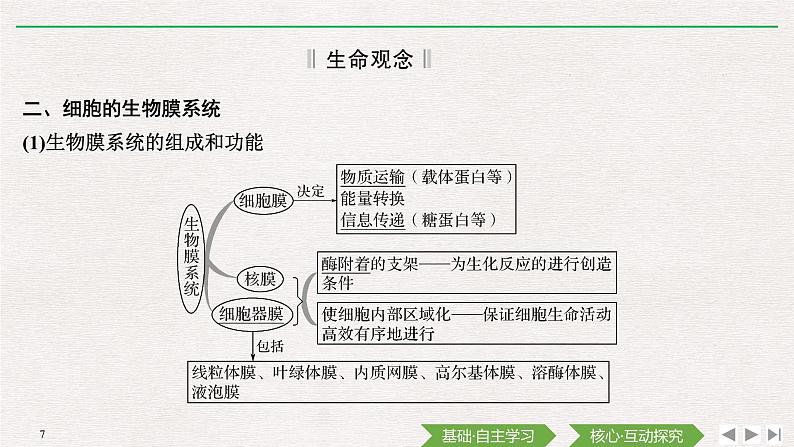 素养进阶(一)　细胞的结构、类别及功能课件PPT07