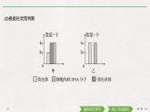 素养进阶(四)　有丝分裂相关图像及相关概念的比较课件PPT