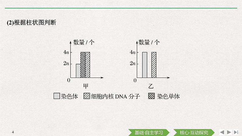 素养进阶(四)　有丝分裂相关图像及相关概念的比较课件PPT04