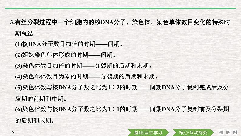 素养进阶(四)　有丝分裂相关图像及相关概念的比较课件PPT06