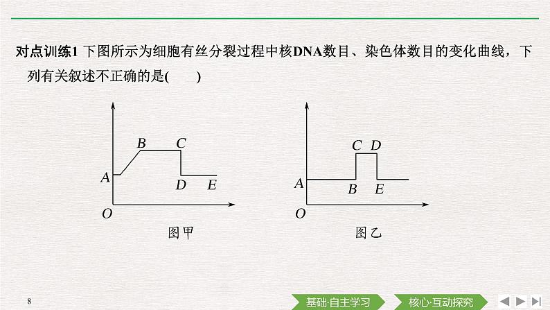 素养进阶(四)　有丝分裂相关图像及相关概念的比较课件PPT08