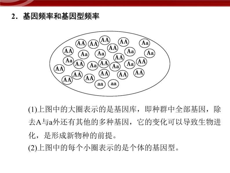 高效课堂同步课件：7-2现代生物进化理论的主要（必修2）07