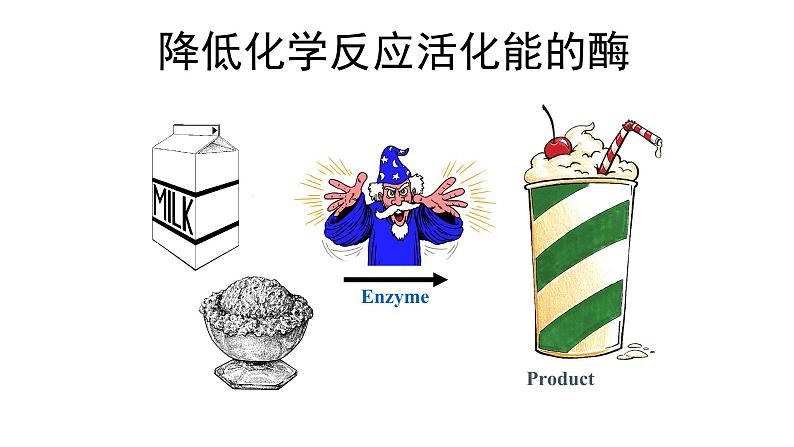 新教材必修一 5.1 降低化学反应活化能的酶课件PPT第2页