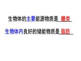 新教材必修一 5.2 细胞的能量通货 ATP课件PPT