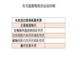 新教材必修一 5.2 细胞的能量通货 ATP课件PPT