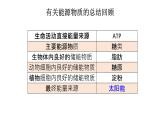 新教材必修一 5.2 细胞的能量通货 ATP课件PPT