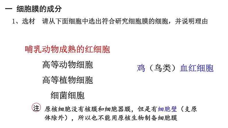 新教材必修一 3.1 细胞膜的结构与功能课件PPT第7页