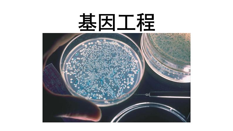 高中生物必修二 6.2 基因工程课件PPT01